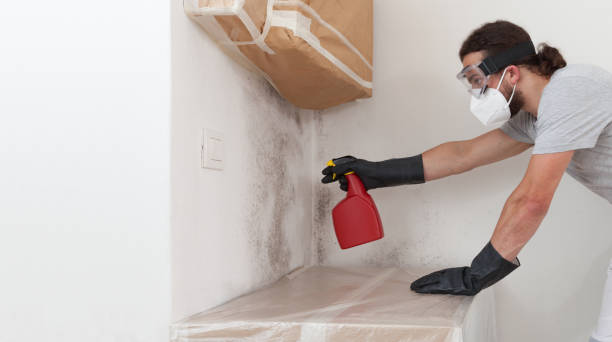 Professional Mold Testing technician working in Hillsboro, IL