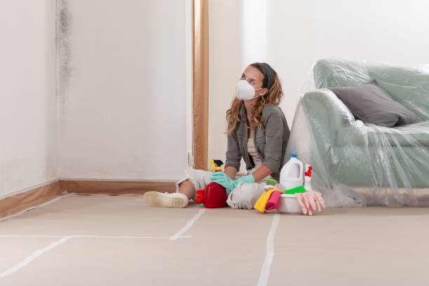 Reliable Mold Testing contractor in Hillsboro, IL by WQB Mold Removal